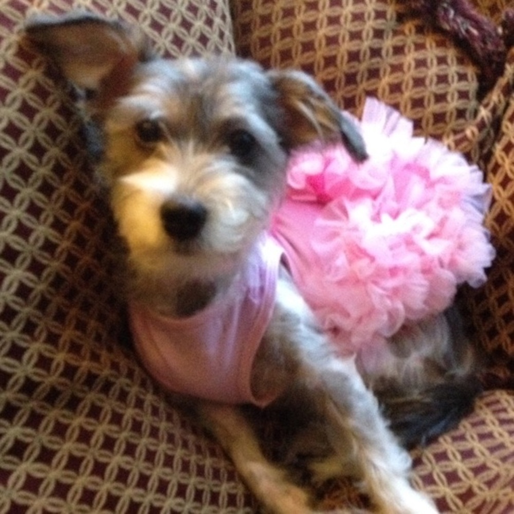 Meet your Posher, Patricia